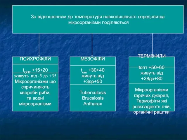 За відношенням до температури навколишнього середовища мікроорганізми поділяються ПСИХРОФІЛИ tОПТ