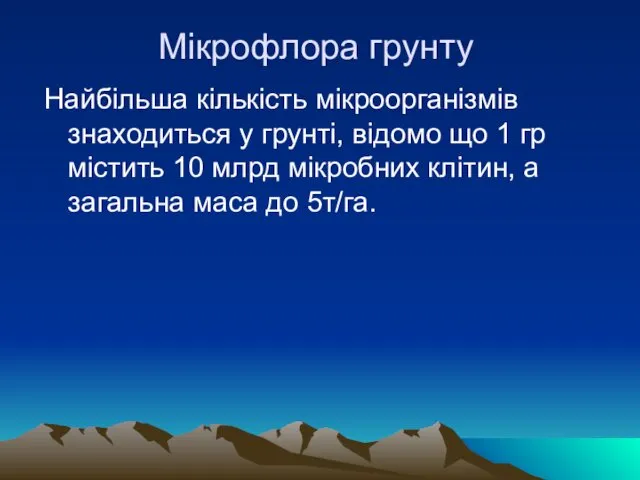 Мікрофлора грунту Найбільша кількість мікроорганізмів знаходиться у грунті, відомо що