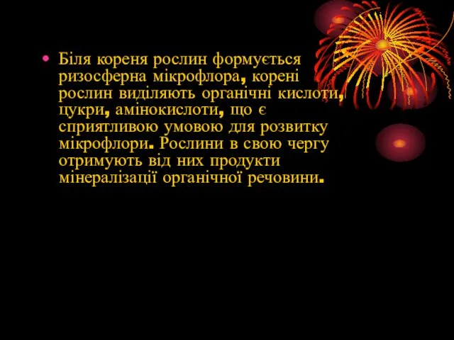 Біля кореня рослин формується ризосферна мікрофлора, корені рослин виділяють органічні