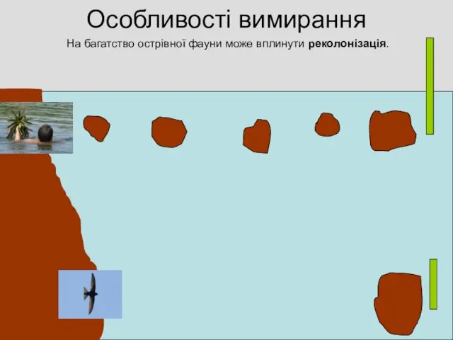 Особливості вимирання На багатство острівної фауни може вплинути реколонізація.