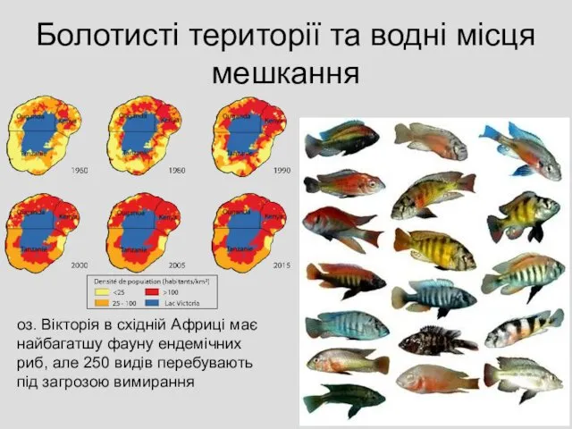 Болотисті території та водні місця мешкання оз. Вікторія в східній