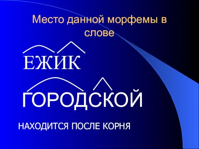 Место данной морфемы в слове ЕЖИК ГОРОДСКОЙ НАХОДИТСЯ ПОСЛЕ КОРНЯ