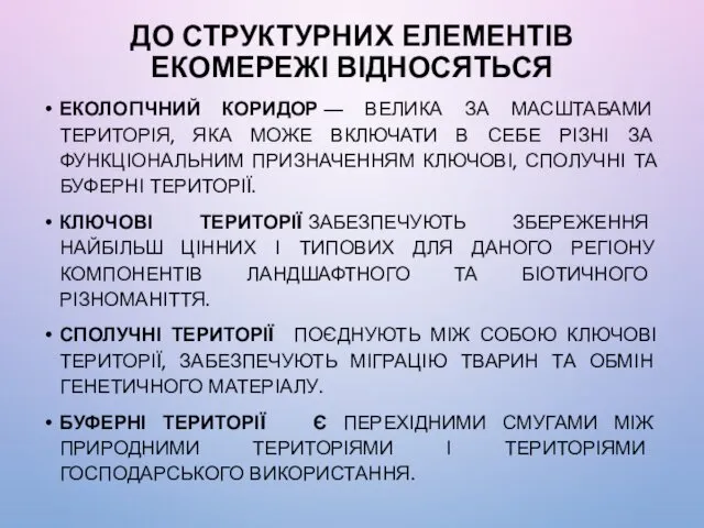 ДО СТРУКТУРНИХ ЕЛЕМЕНТІВ ЕКОМЕРЕЖІ ВІДНОСЯТЬСЯ ЕКОЛОГІЧНИЙ КОРИДОР — ВЕЛИКА ЗА