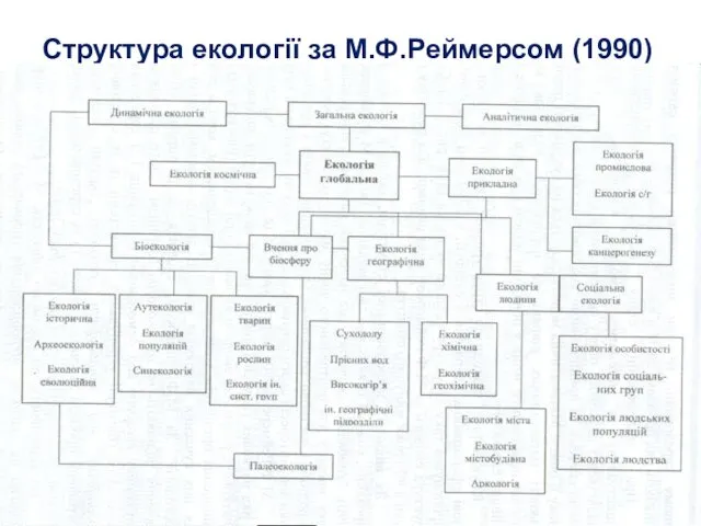 Структура екології за М.Ф.Реймерсом (1990)