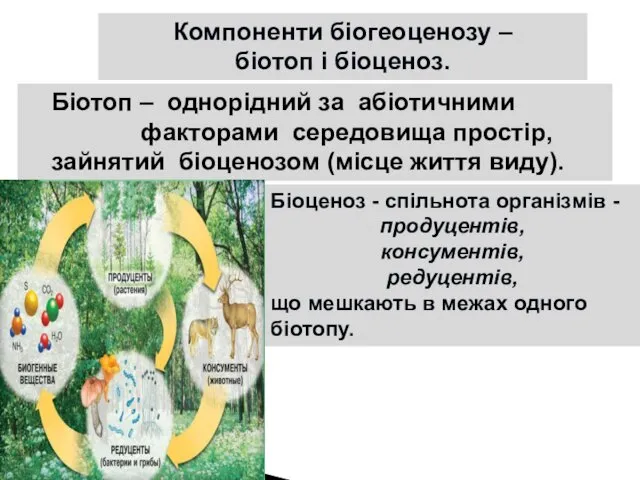 Біотоп – однорідний за абіотичними факторами середовища простір, зайнятий біоценозом