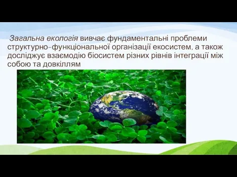 Загальна екологія вивчає фундаментальні проблеми структурно-функціональної організації екосистем, а також