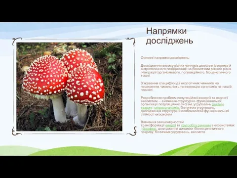 Напрямки досліджень Основні напрямки досліджень: Дослідження впливу різних чинників довкілля