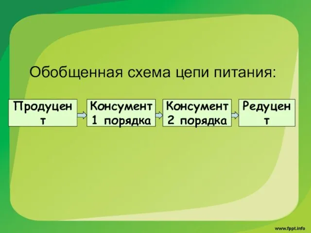 Обобщенная схема цепи питания: Продуцент Консумент 1 порядка Консумент 2 порядка Редуцент