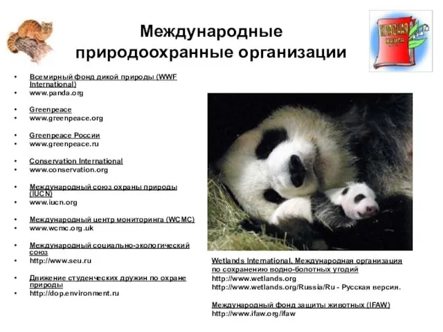 Международные природоохранные организации Всемирный фонд дикой природы (WWF International) www.panda.org