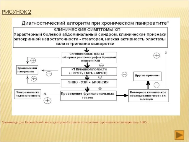 РИСУНОК 2 *рекомендации Европейской многоцентровой группы по изучению хронического панкреатита 2005 г.