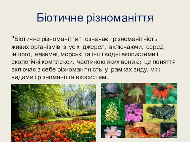 Біотичне різноманіття "Біотичне різноманіття" означає різноманітність живих організмів з усіх