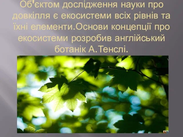 Об'єктом дослідження науки про довкілля є екосистеми всіх рівнів та їхні елементи.Основи концепції