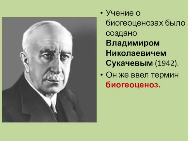 Учение о биогеоценозах было создано Владимиром Николаевичем Сукачевым (1942). Он же ввел термин биогеоценоз.