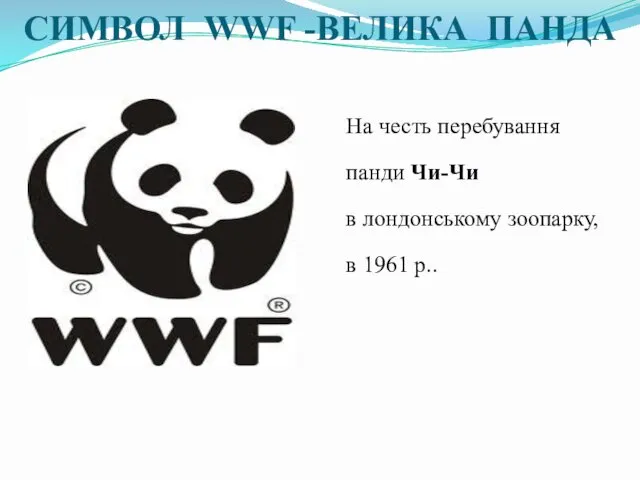 СИМВОЛ WWF -ВЕЛИКА ПАНДА На честь перебування панди Чи-Чи в лондонському зоопарку, в 1961 р..