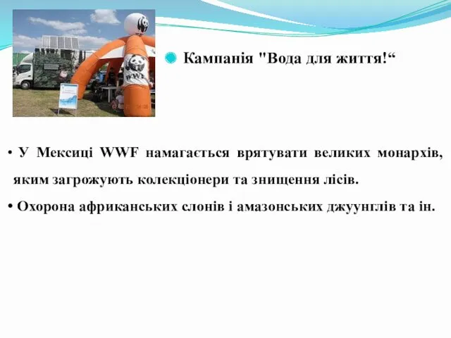 Кампанія "Вода для життя!“ У Мексиці WWF намагається врятувати великих