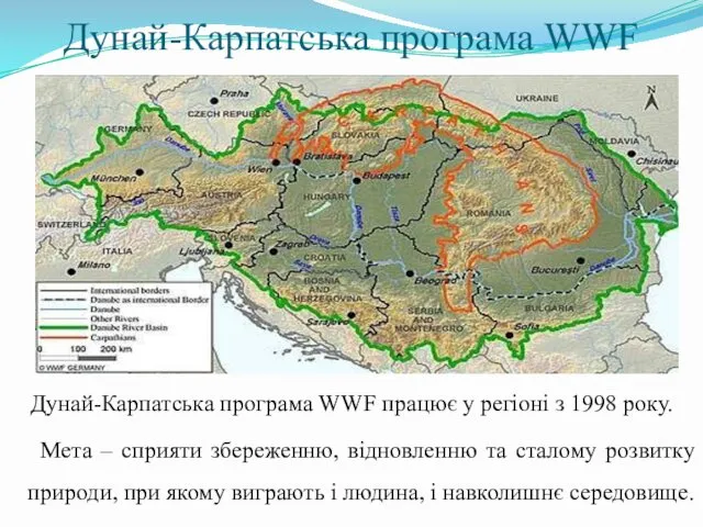 Дунай-Карпатська програма WWF Дунай-Карпатська програма WWF працює у регіоні з