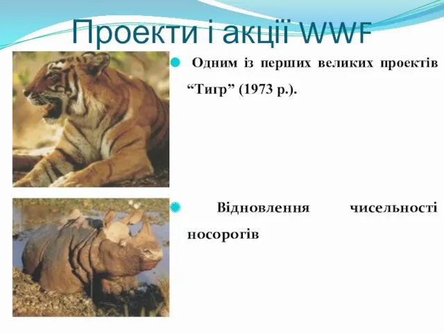 Проекти і акції WWF Одним із перших великих проектів “Тигр” (1973 р.). Відновлення чисельності носорогів