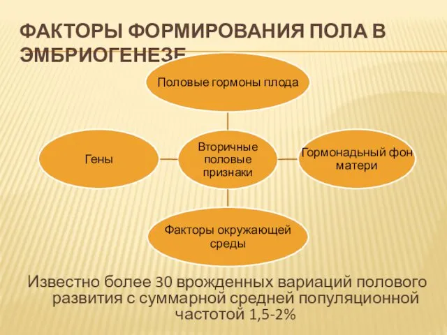 ФАКТОРЫ ФОРМИРОВАНИЯ ПОЛА В ЭМБРИОГЕНЕЗЕ Известно более 30 врожденных вариаций