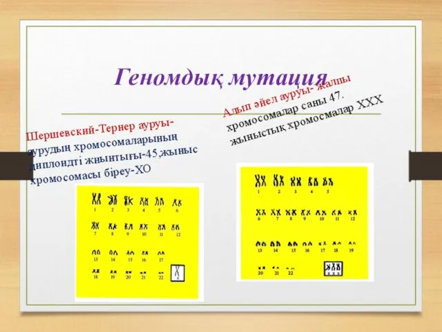 Геномдық мутация Шершевский-Тернер ауруы- аурудың хромосомаларының диплоидті жиынтығы-45,жыныс хромосомасы біреу-ХО