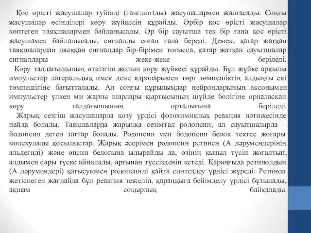 Қос өрісті жасушалар туйінді (ганглиозды) жасушалармен жалғасады. Соңғы жасушалар өсінділері