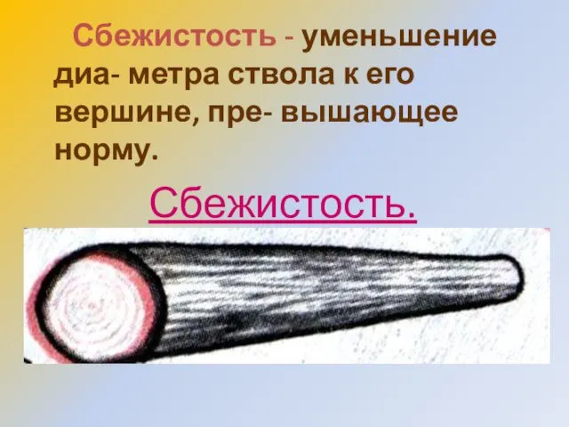 Сбежистость - уменьшение диа- метра ствола к его вершине, пре- вышающее норму. Сбежистость.