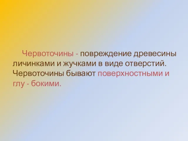 Червоточины - повреждение древесины личинками и жучками в виде отверстий.