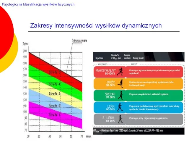 Zakresy intensywności wysiłków dynamicznych Fizjologiczna klasyfikacja wysiłków fizycznych.