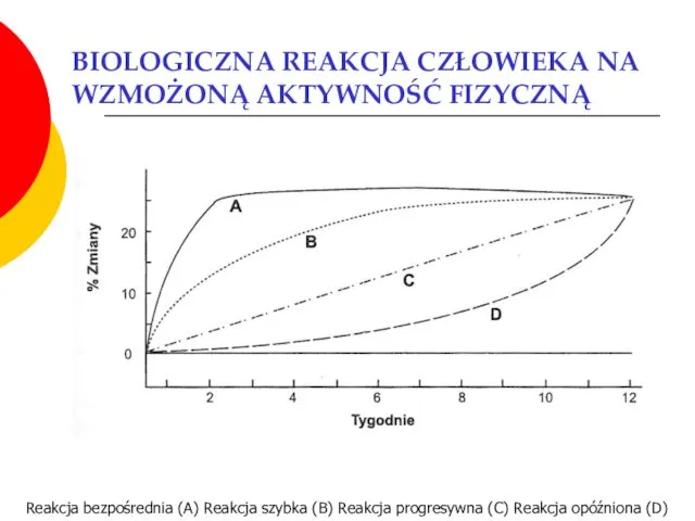 BIOLOGICZNA REAKCJA CZŁOWIEKA NA WZMOŻONĄ AKTYWNOŚĆ FIZYCZNĄ Reakcja bezpośrednia (A)