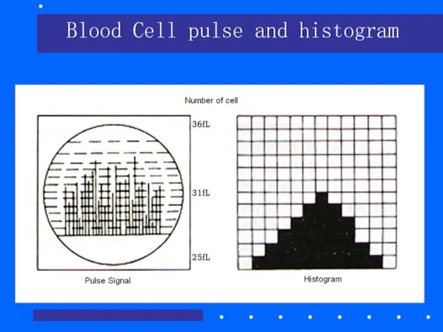 Blood Cell pulse and histogram