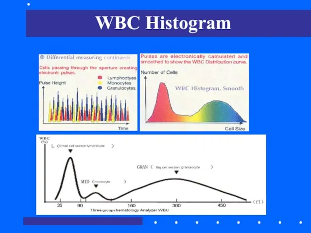 WBC Histogram