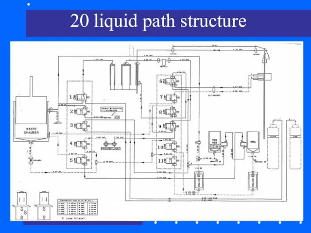 20 liquid path structure
