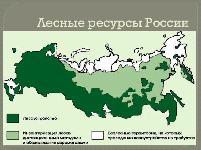 Лесные ресурсы России