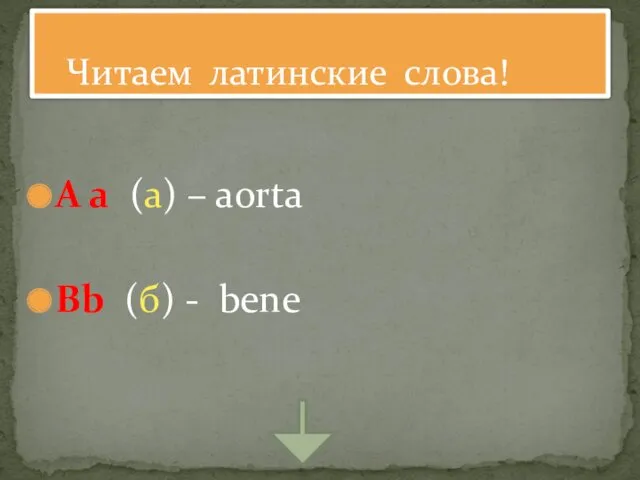 A a (a) – aorta Bb (б) - bene Читаем латинские слова!