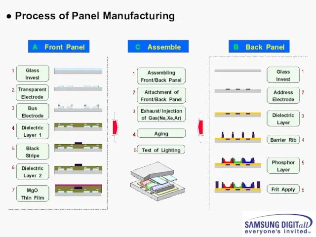 ● Process of Panel Manufacturing