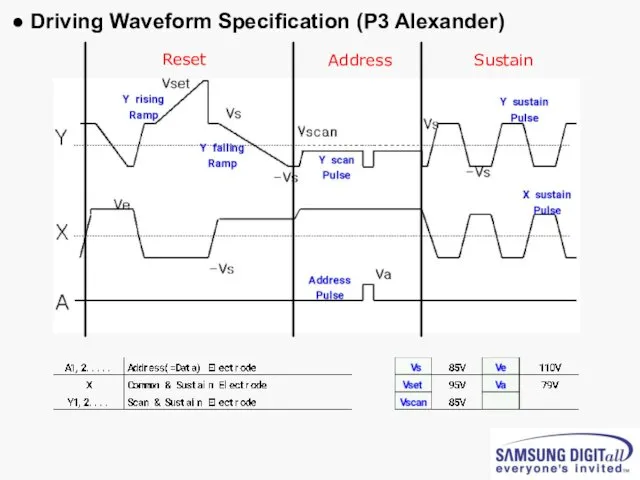 ● Driving Waveform Specification (P3 Alexander) Reset Address Sustain