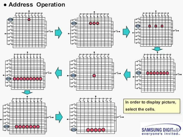 ● Address Operation