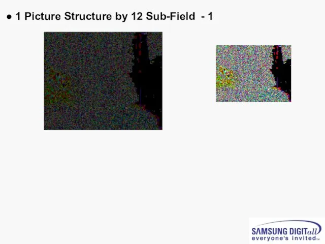 ● 1 Picture Structure by 12 Sub-Field - 1