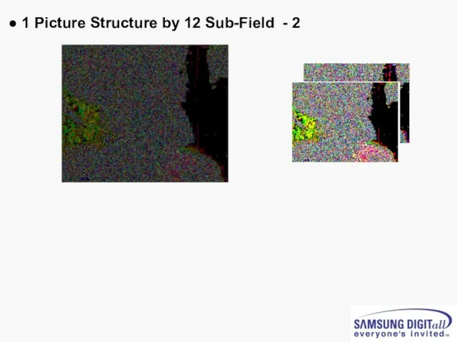 ● 1 Picture Structure by 12 Sub-Field - 2