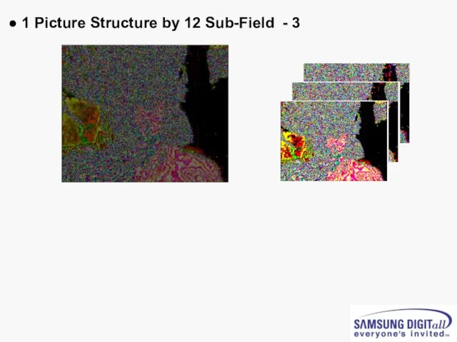 ● 1 Picture Structure by 12 Sub-Field - 3