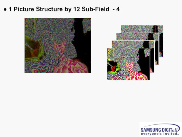 ● 1 Picture Structure by 12 Sub-Field - 4