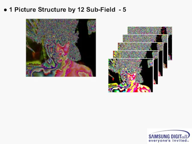 ● 1 Picture Structure by 12 Sub-Field - 5