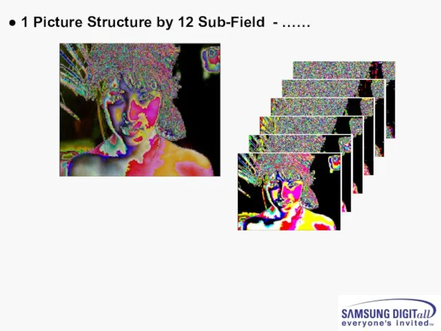 ● 1 Picture Structure by 12 Sub-Field - ……