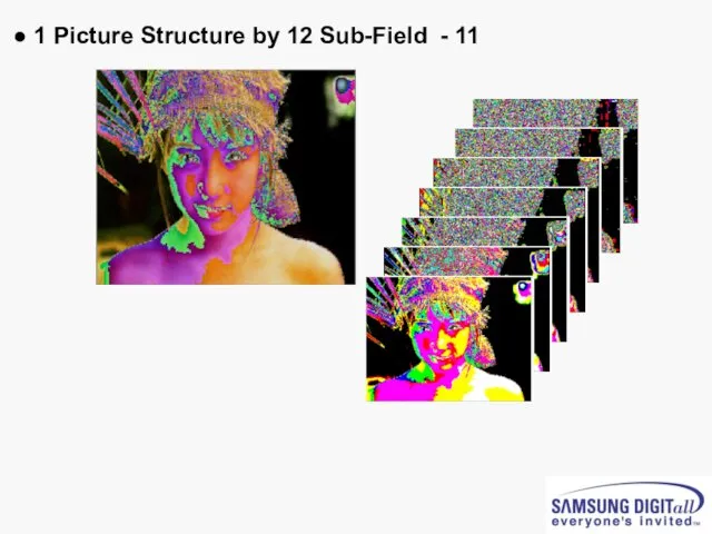 ● 1 Picture Structure by 12 Sub-Field - 11