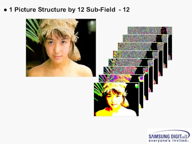 ● 1 Picture Structure by 12 Sub-Field - 12