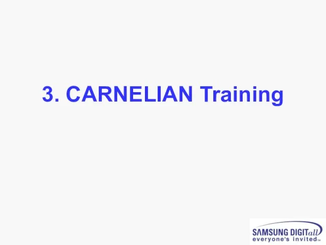 3. CARNELIAN Training