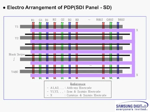 ● Electro Arrangement of PDP(SDI Panel - SD)
