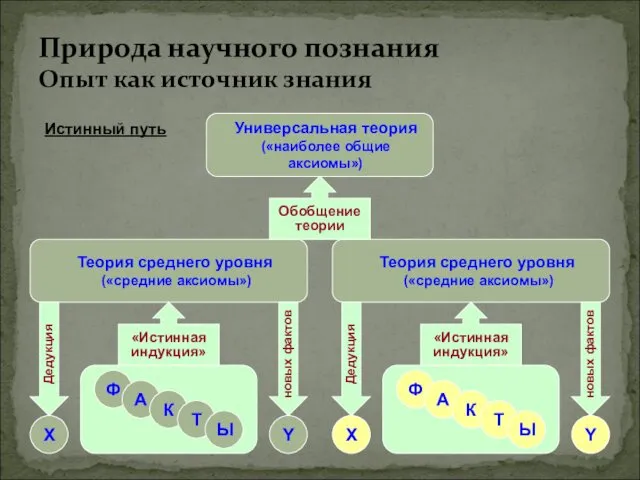 Природа научного познания Опыт как источник знания Универсальная теория («наиболее