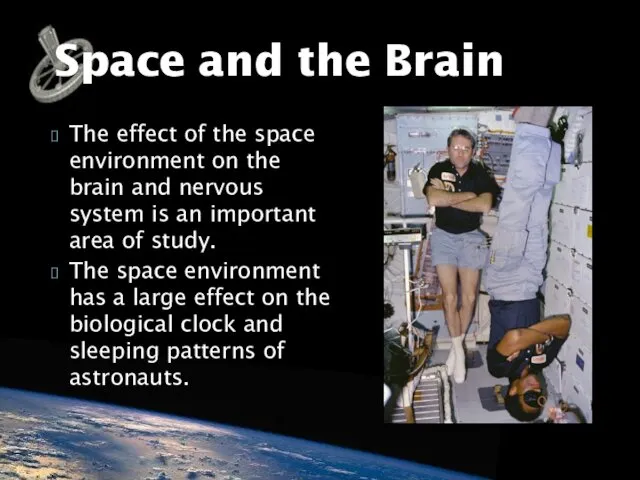 The effect of the space environment on the brain and