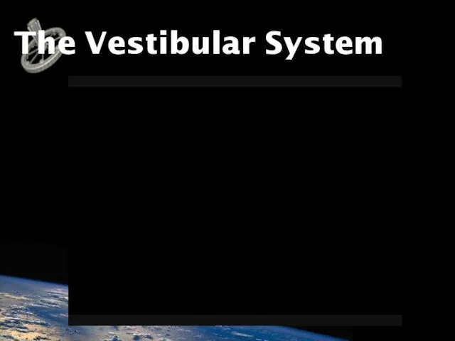 The Vestibular System