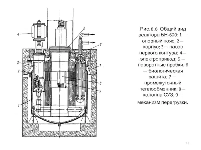 Рис. 8.6. Общий вид реактора БН-600: 1 — опорный пояс;